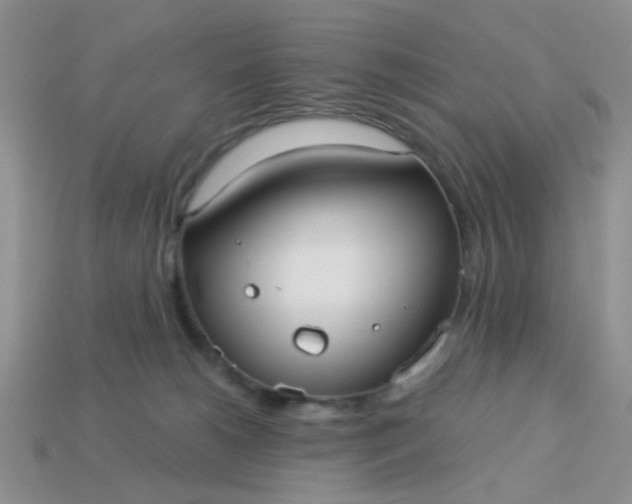 X0000113020180200909101845