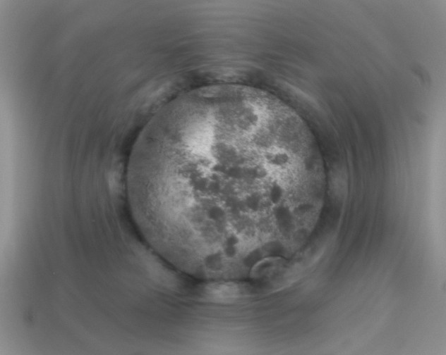 X0000113020181200909101845