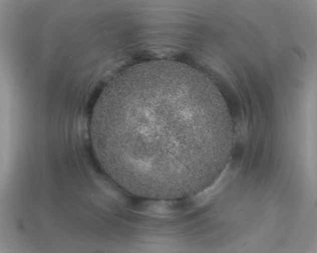 X0000113020182200909101845