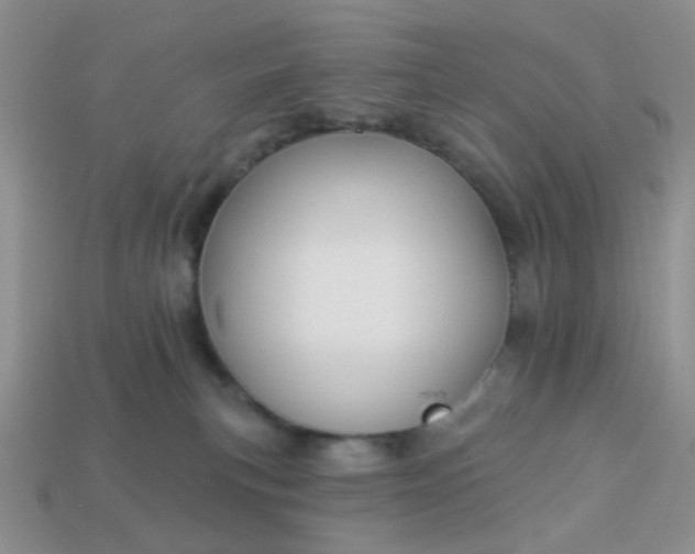 X0000113020183200909101845