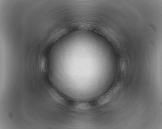 X0000113020185200909101845