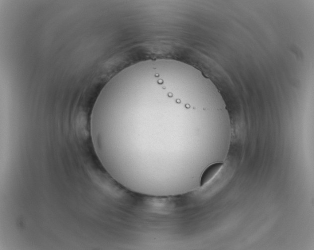 X0000113020187200909101845