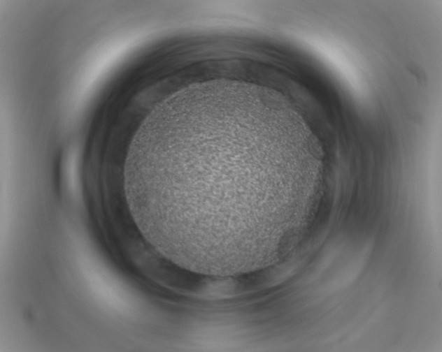 X0000113020189200909101845