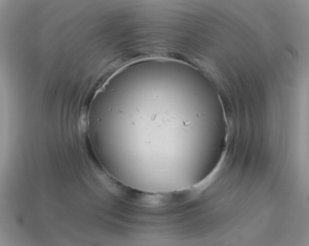 X0000113020190200909101845