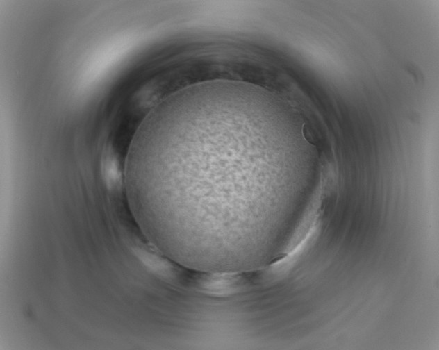 X0000113020191200909101845