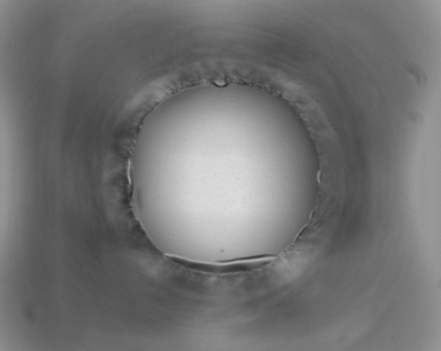 X0000113020192200909101845