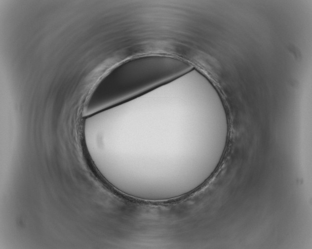 X0000113020193200909101844