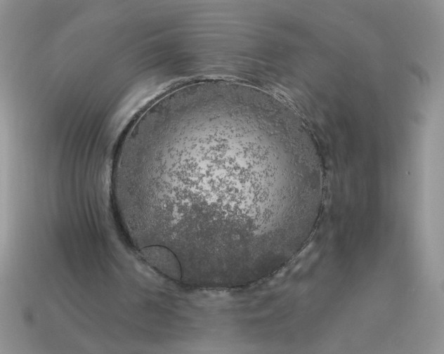 X0000113020194200909101844