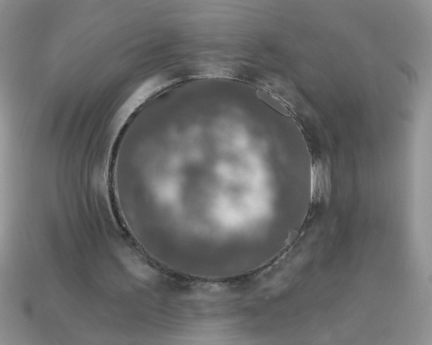 X0000113020195200909101844