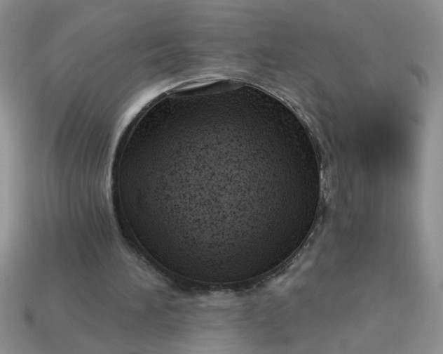 X0000113020196200909101844