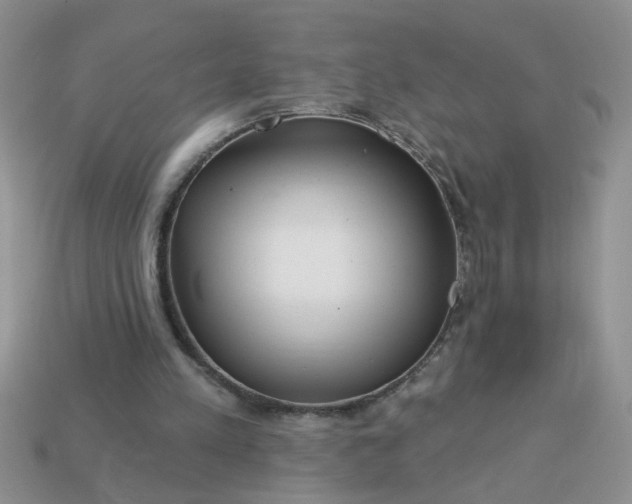 X0000113020197200909101844