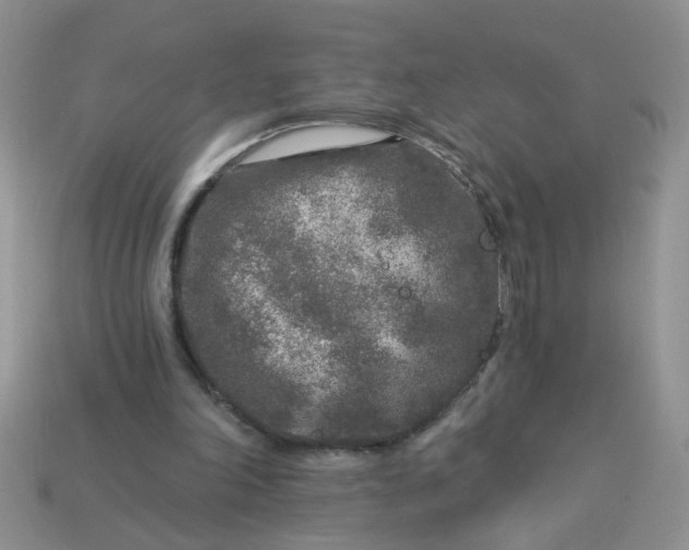 X0000113020198200909101844