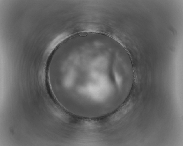X0000113020199200909101844
