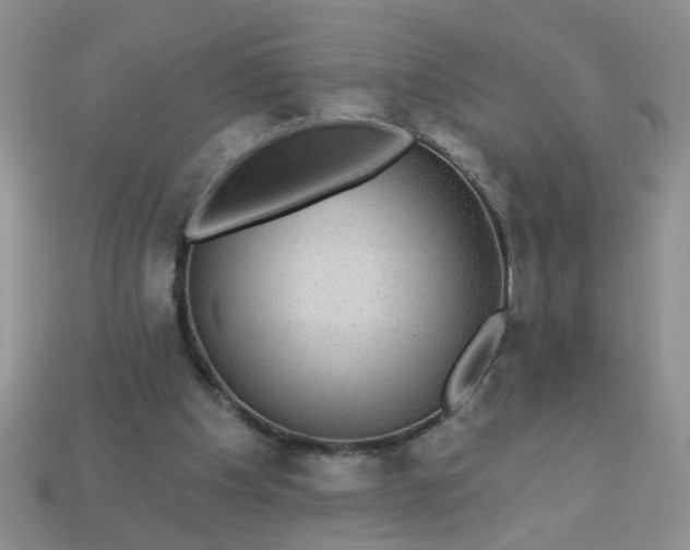 X0000113020201200909101844