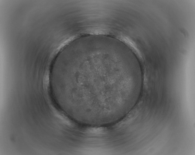 X0000113020202200909101844