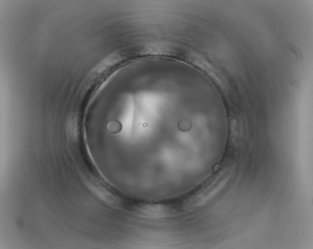 X0000113020203200909101844