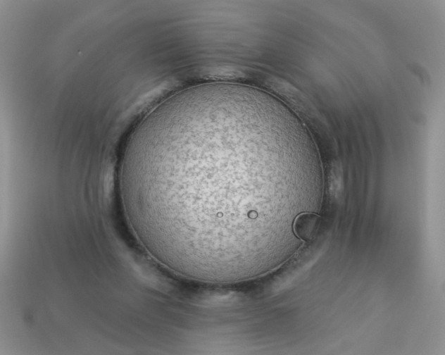 X0000113020206200909101844