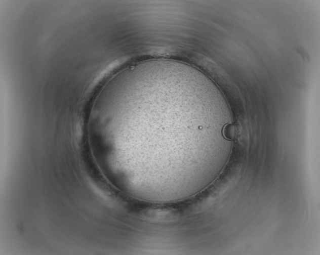 X0000113020208200909101844