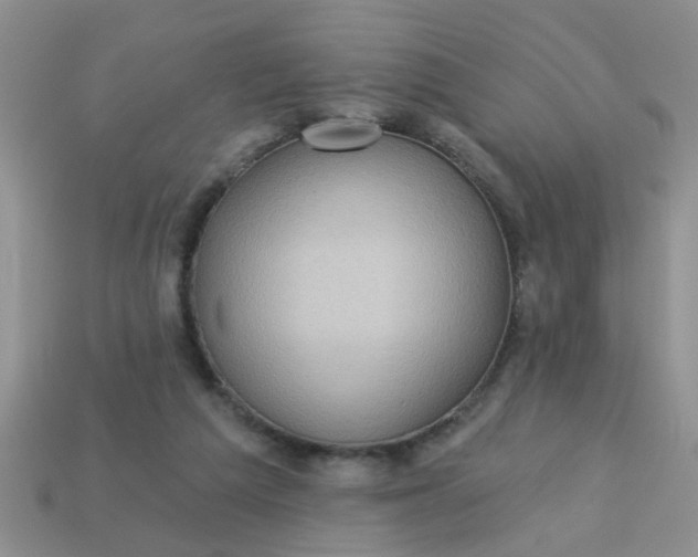 X0000113020209200909101844