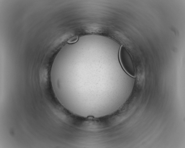 X0000113020211200909101844