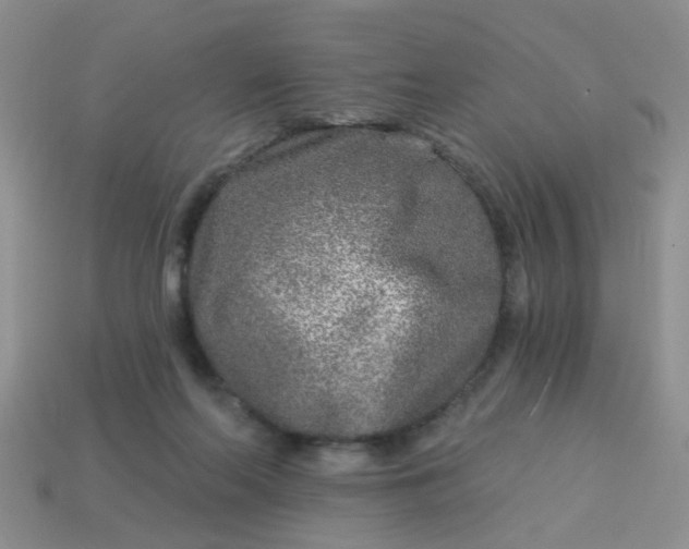 X0000113020214200909101844