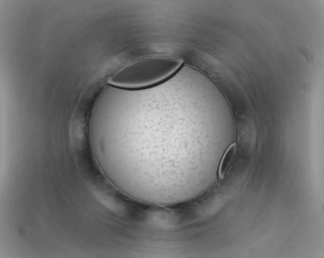 X0000113020215200909101844