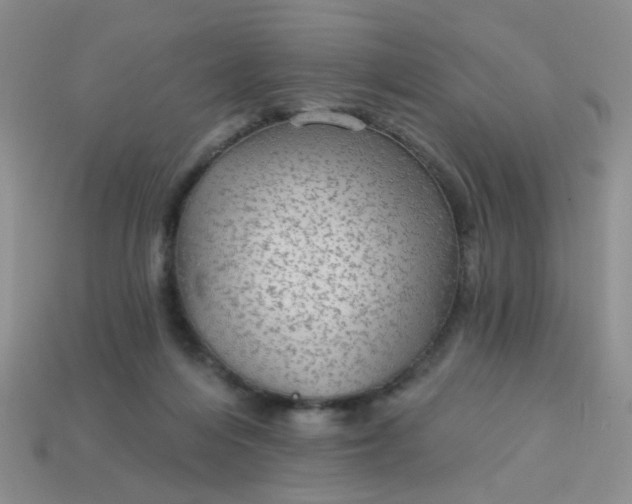 X0000113020216200909101844
