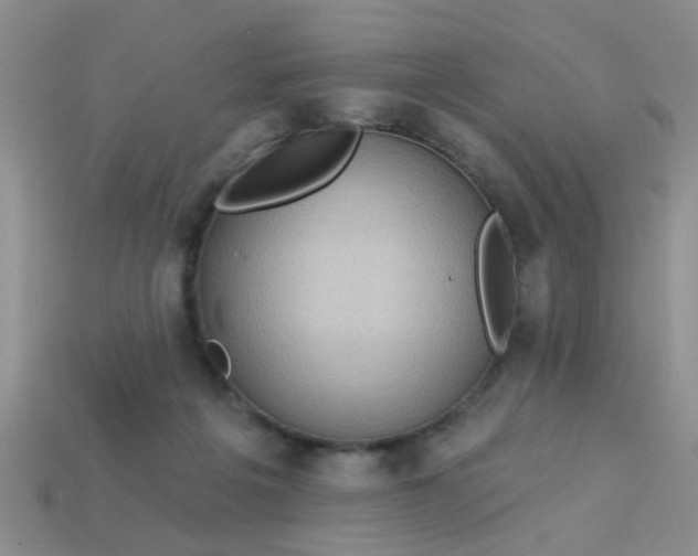 X0000113020217200909101844