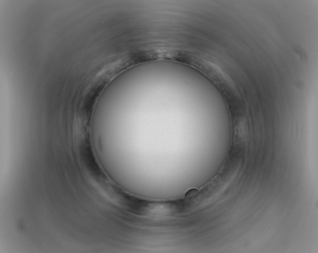 X0000113020218200909101844