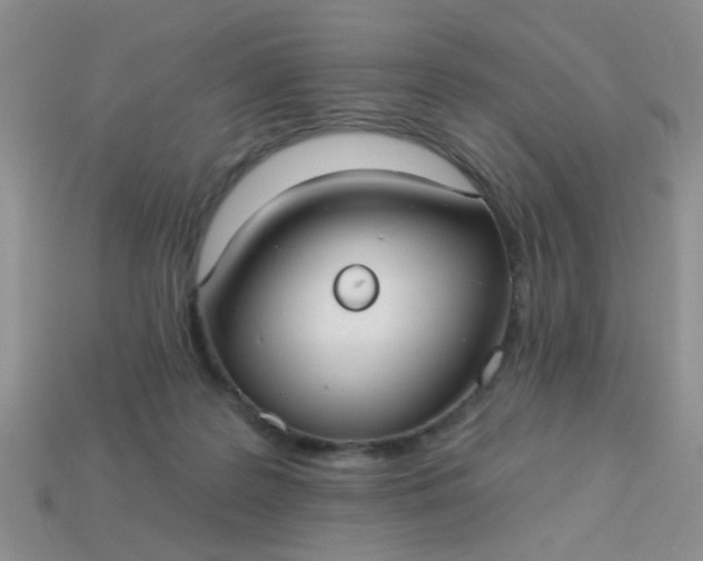 X0000113020219200909101844