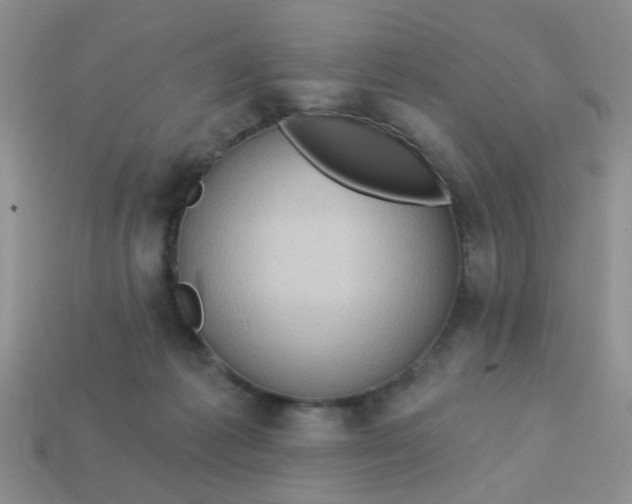 X0000113020221200909101844