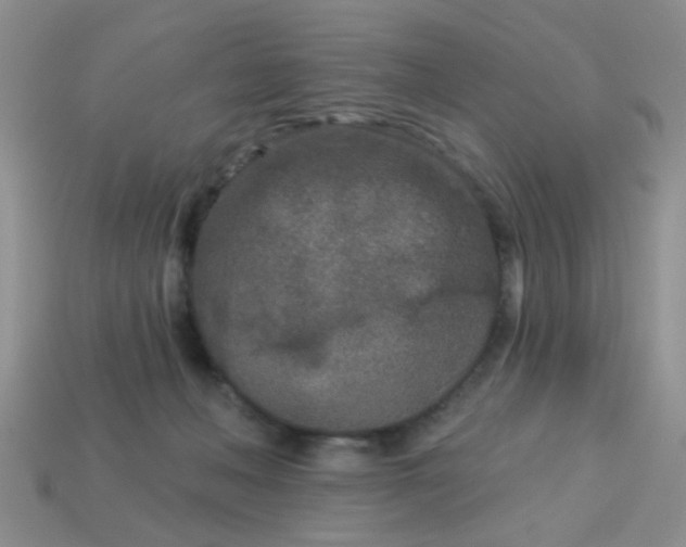 X0000113020222200909101844