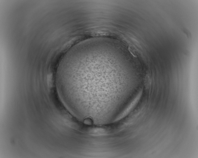 X0000113020224200909101844