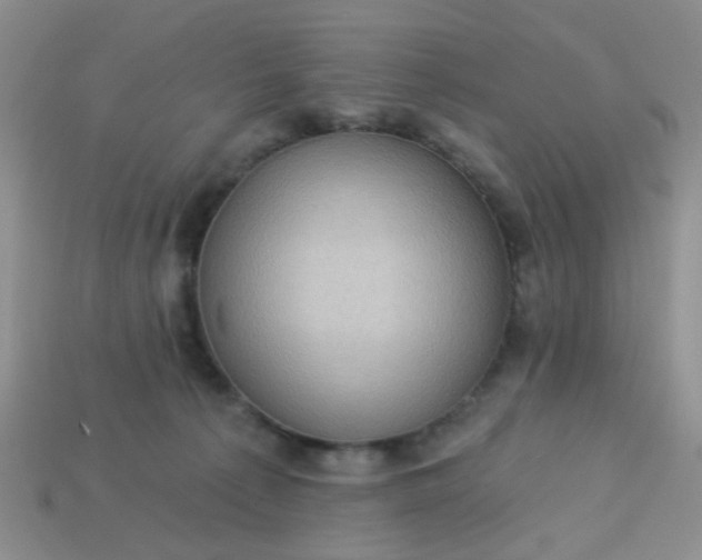 X0000113020225200909101844