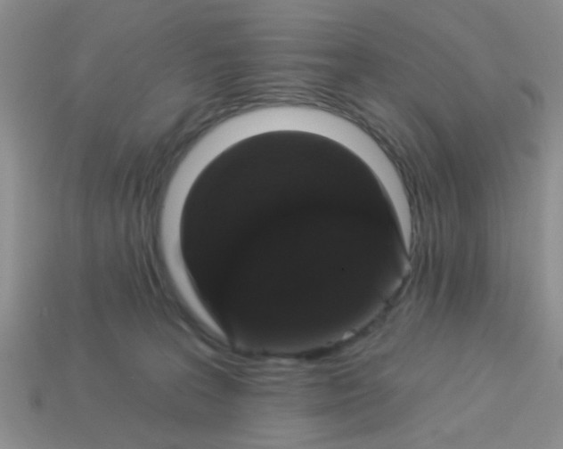 X0000113020227200909101844