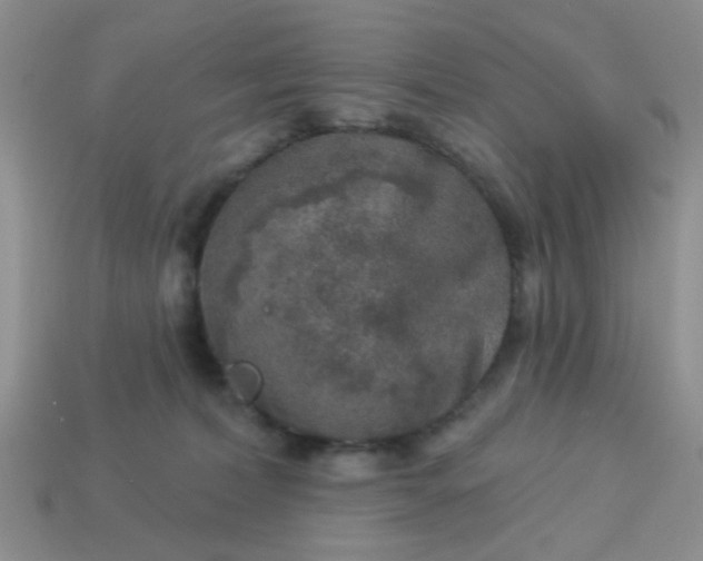 X0000113020228200909101844