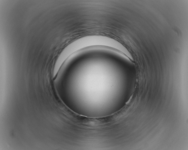 X0000113020229200909101844