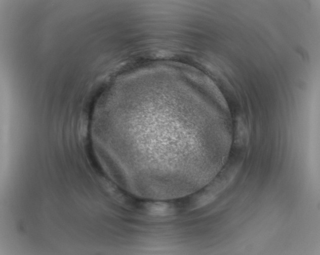 X0000113020230200909101844