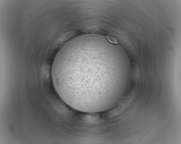 X0000113020232200909101844