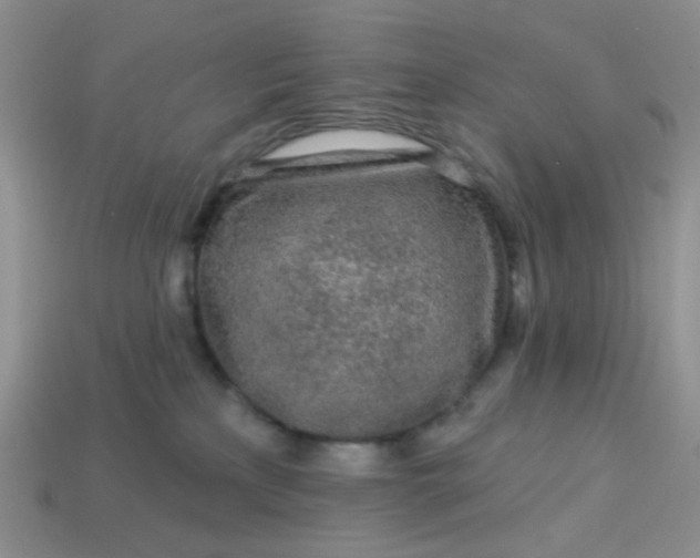 X0000113020233200909101844