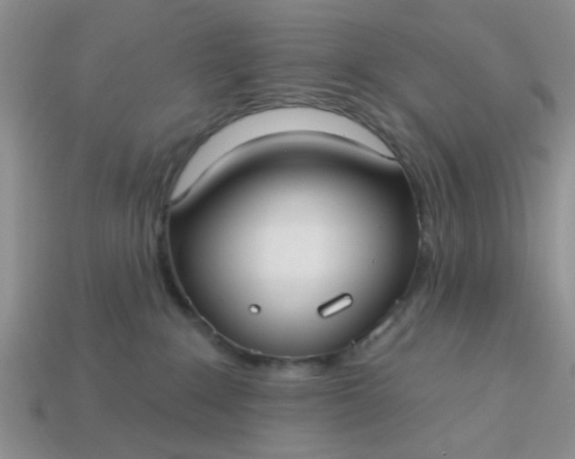 X0000113020235200909101844