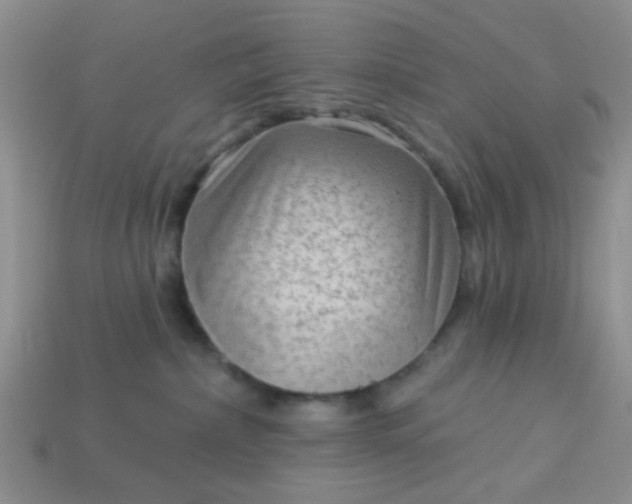 X0000113020236200909101844