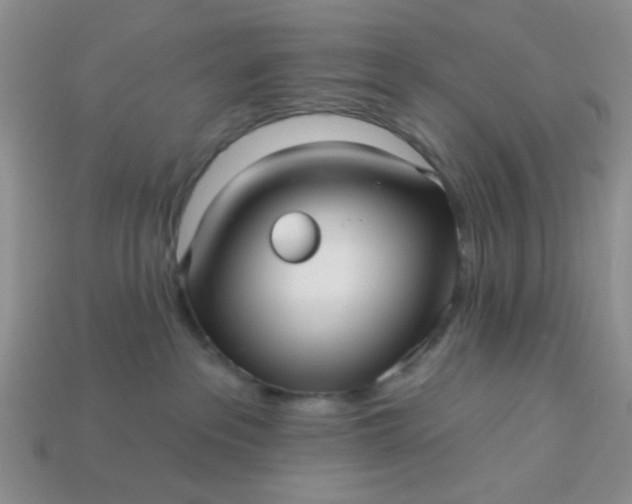 X0000113020237200909101844