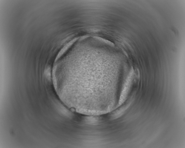 X0000113020238200909101844