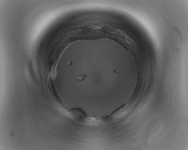 X0000113020239200909101844