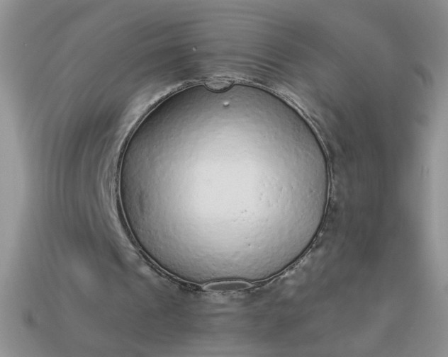 X0000113020241200909101843