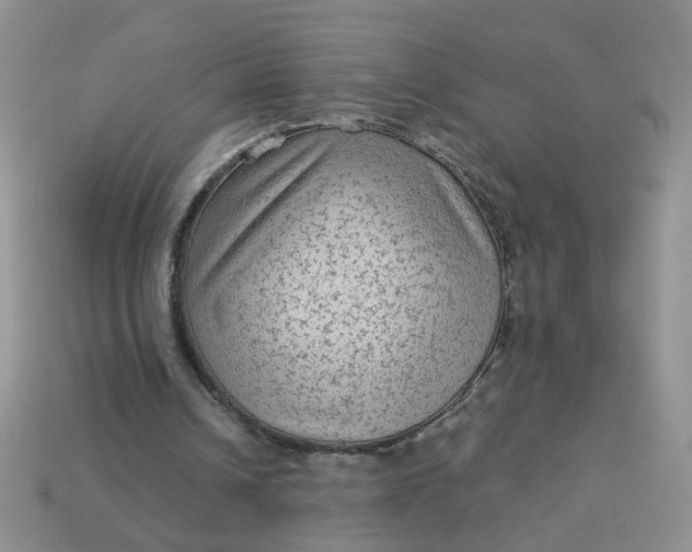 X0000113020242200909101843