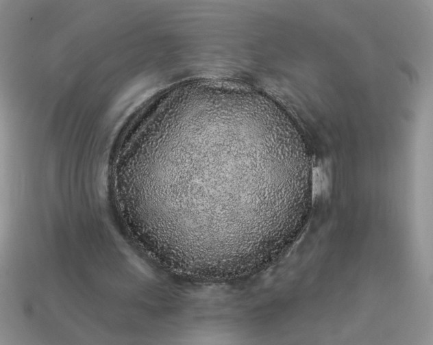 X0000113020243200909101843