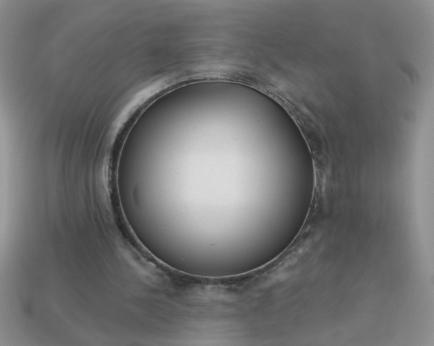 X0000113020244200909101843