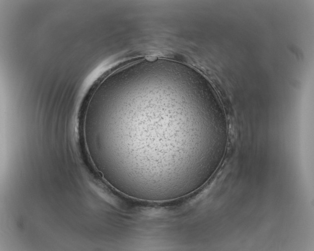 X0000113020246200909101843